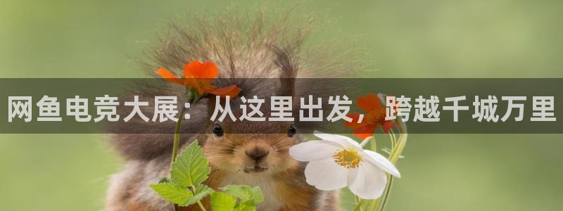威客电竞吧官网安卓版：网鱼电竞大展：从这里出发，跨越千城万里