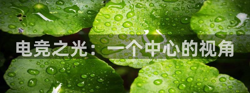 vk威客电竞：电竞之光：一个中心的视角
