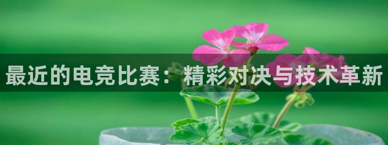 vkgame 威客电竞：最近的电竞比赛：精彩对决与技术革新