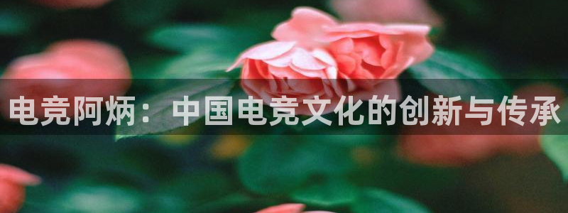 威客电竞官网下载：电竞阿炳：中国电竞文化的创新与传承