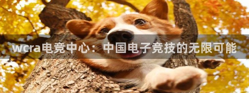 威客电竞VKGAME：wcra电竞中心：中国电子竞技的无限可能