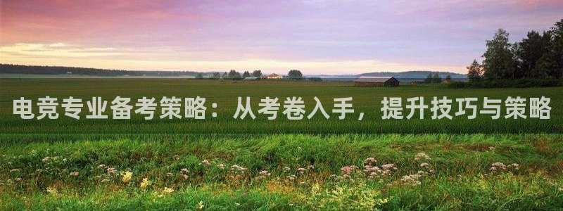 威客电竞官网：电竞专业备考策略：从考卷入手，提升技巧与策略