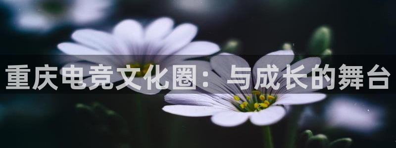 威客电竞网页版入口：重庆电竞文化圈：与成长的舞台