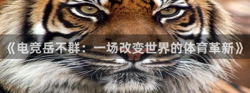 vkgame 威客电竞：《电竞岳不群：一场改变世界的体育革新》