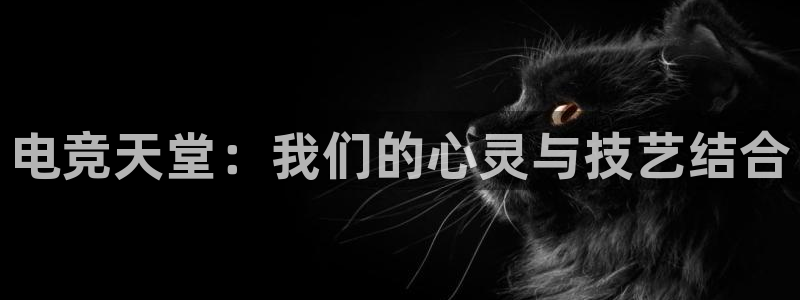 威客电竞 optic：电竞天堂：我们的心灵与技艺结合