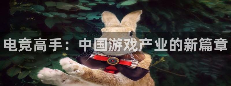 威客电竞集团：电竞高手：中国游戏产业的新篇章