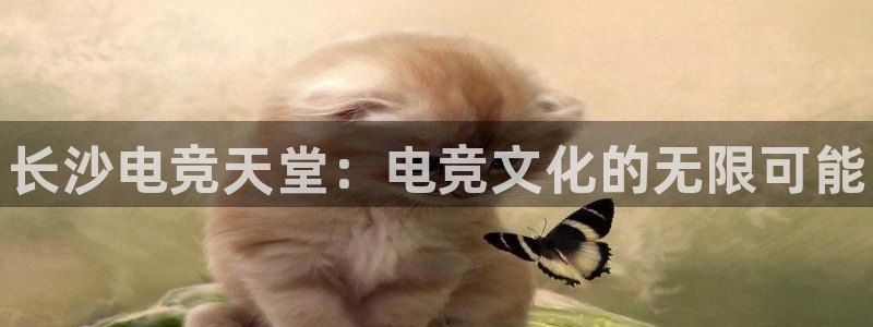 vkgame威客电竞官网：长沙电竞天堂：电竞文化的无限可能