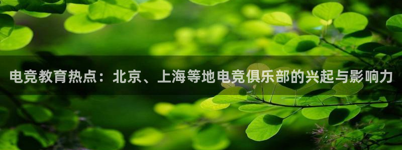 威客电竞·(中国)VKGAMING：电竞教育热点：北京、上海等地电竞俱乐部的兴起与影响力