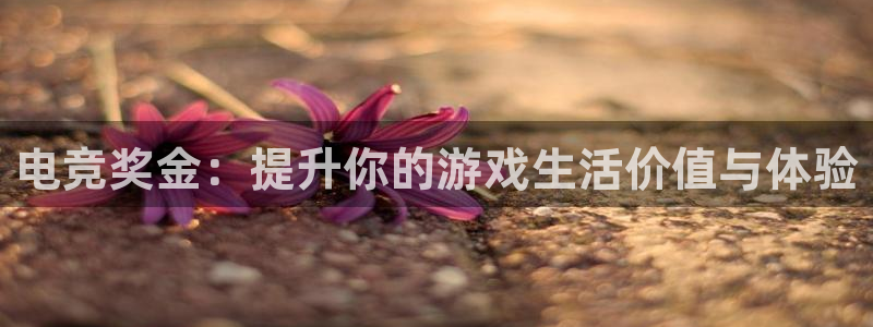 威客电竞测速：电竞奖金：提升你的游戏生活价值与体验