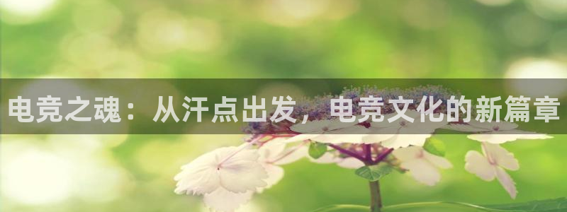 威客电竞·(中国)VKGAMING：电竞之魂：从汗点出发，电竞文化的新篇章