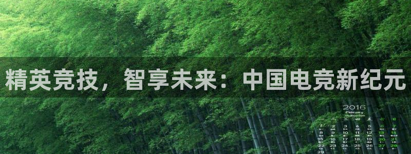 威客电竞官网下载：精英竞技，智享未来：中国电竞新纪元