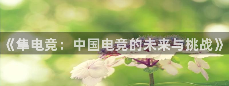 威客电竞客：《隼电竞：中国电竞的未来与挑战》