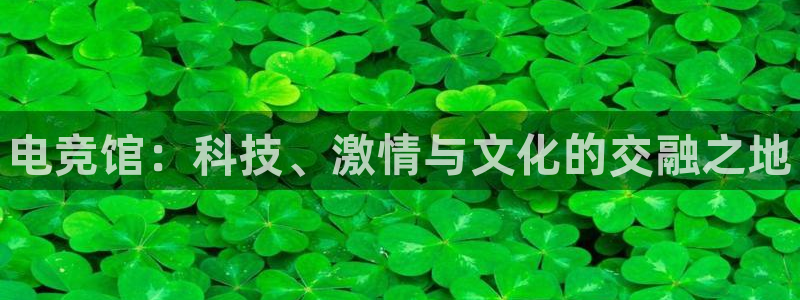 威客电竞官网：电竞馆：科技、激情与文化的交融之地