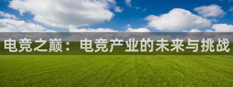 威客电竞测速：电竞之巅：电竞产业的未来与挑战