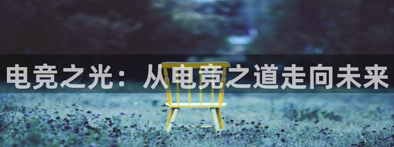 威客电竞客服：电竞之光：从电竞之道走向未来