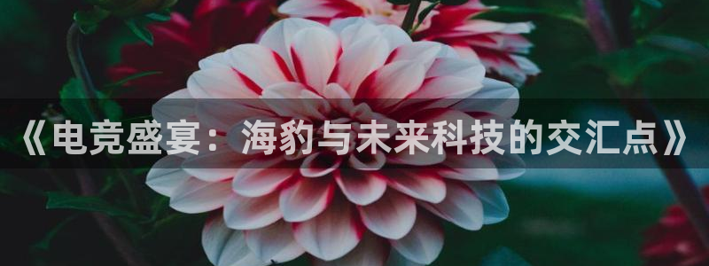 威客电竞VKGAME：《电竞盛宴：海豹与未来科技的交汇点》