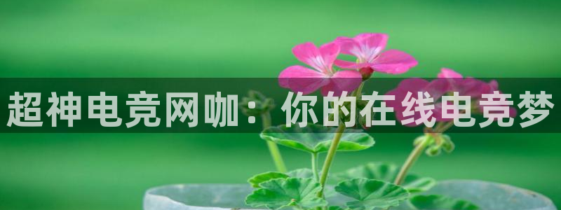 vk威客电竞：超神电竞网咖：你的在线电竞梦