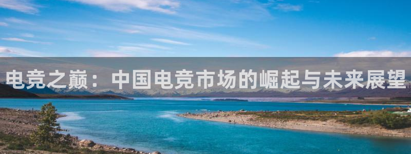 威客电竞官网登录入口：电竞之巅：中国电竞市场的崛起与未来展望